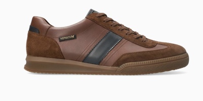  Elyo,  Brown (,  1)