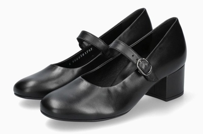   Topaze,  Plum , Bronze , Black , Oxblood (,  2)